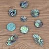 9Pcs Saxophone Key Button Smooth Surface Wear Resistant Inlays Accessory Abalone Shell Sax Key for Alto
