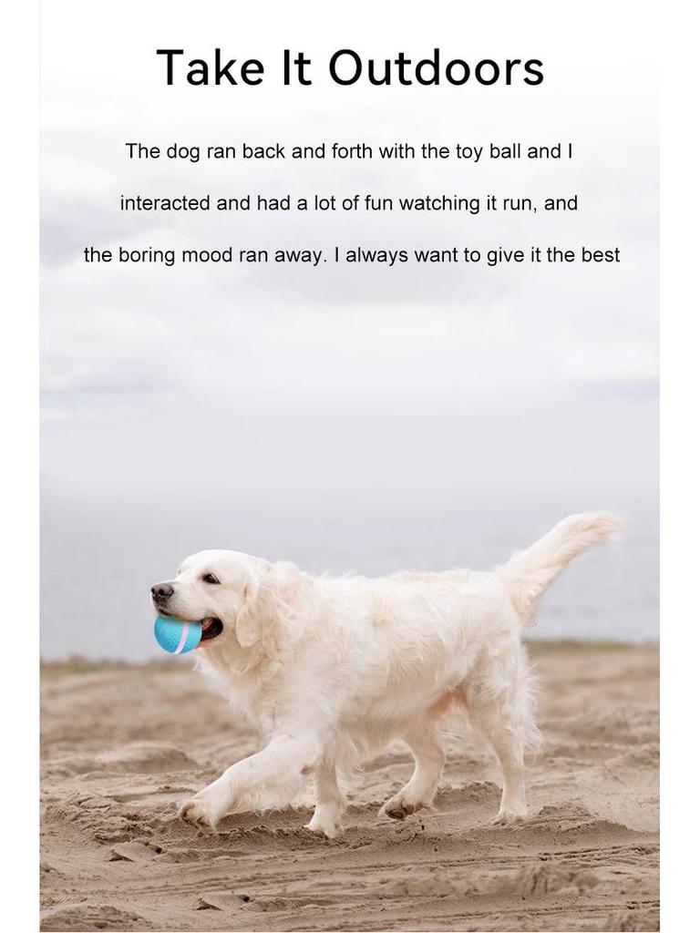 Electric Luminous Pet Toy: Bite-Resistant, Smart Teasing Ball for Dogs and Cats