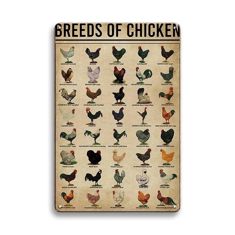 Farm Chicken Färska ägg Metall Plåtskyltar Vintage plakett Väggdekor Plåttallrik Retro affisch Bar Happy Farm Hem Väggdekor