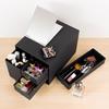 Plus Desk Organizer Accessory Storage Box Storage Case Drawer Cosmetics Living Post Black L Size LP-304YL 85-133
