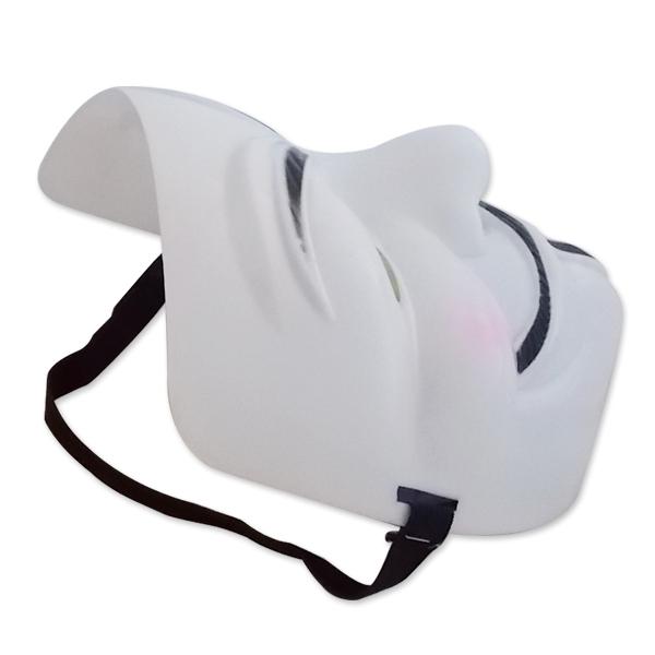 Anonymous Mask and from the Movie "V for Vendetta"