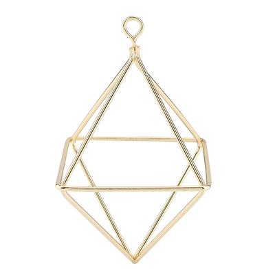 Portapantaloni ad aria geometrico Fiori alla moda Bromeliacee Rastrelliera sospesa Decorazione per la casa Oro