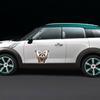 High Quality Raccoon Themed Decals For Vehicle Body And Customization Automotive Exterior Decorative Stickers