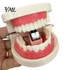 Accessori da Scrivania Divertenti Mini Cucitrice a Forma di Dente, Graziosa Matrice Dentale per Carta, Strumento Pratico per Rilegatura, Fermacarte, Creativo per Dentisti e Studenti