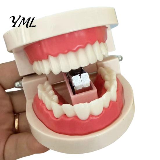 Accessori da Scrivania Divertenti Mini Cucitrice a Forma di Dente, Graziosa Matrice Dentale per Carta, Strumento Pratico per Rilegatura, Fermacarte, Creativo per Dentisti e Studenti