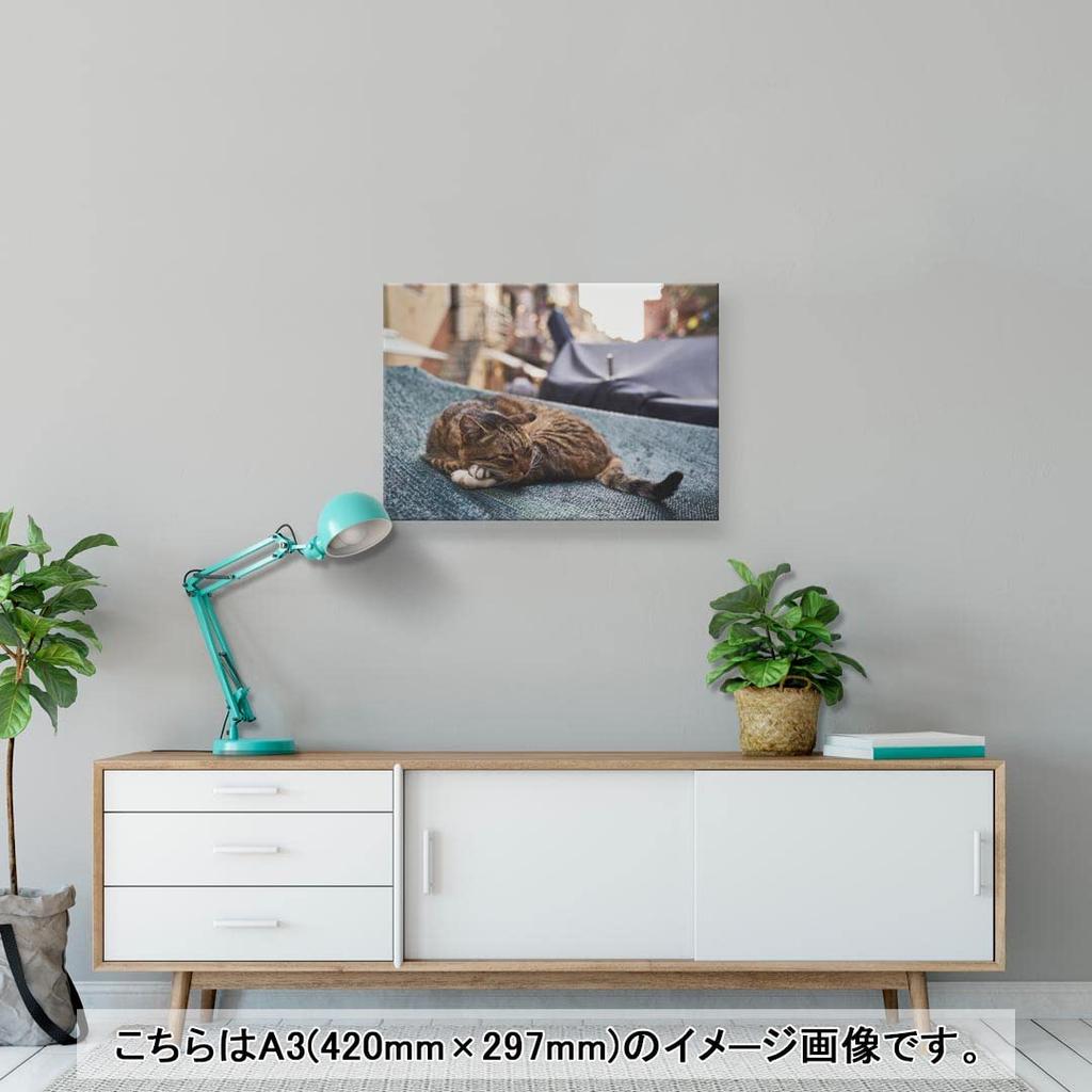 Art 420mm X Wall Wooden Stylish Interior Photo Panel, Painting, Decoration, Igsticker, 297mm, A3, Photo, Hanging, Frame, Decor, 023084, Cat, Animal,