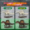 Bandai Spirits Plamosaurus Spinosaurus Color-Coded Plastic Model Kit 1:144 Scale