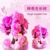 Christmas Tree Growing Science Experiment, STEM Educational Toy for Kids