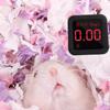 Animal Bedding 450g Wood Chips Toys Small Pet Bedding For Ferret Bunny Gerbil Hedgehog Reptile Bird Pet Animal Sleeping Nesting