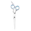 Stainless Steel Barber & Hairdressing Scissors Set: Flat Tooth & Thinning Options