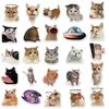 50PCS Funny Cute Cat MEME Animals Stickers Kawaii DIY Scrapbook Notebook Luggage Laptop Skateboard Fridge Decor Sticker