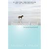 The Untethered Soul: The Journey Beyond Yourself