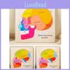 Childrens Educational Wooden Brain Anatomy Puzzle For Early Learning And Cognitive Development