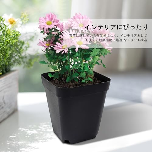 RooTrimmer Sämlingsbehälter, Größe 3, Set mit 40 Stück, Verhindert Wurzelfäule, Geeignet für Sukkulenten, PP-Kunststofftöpfe mit Schlitzdrainage, Wiederverwendbar, Mattes Finish, 9