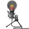 Bilgisayar PC Dizüstü Bilgisayar için Profesyonel Kondenser Mikrofon USB Kablolu Oyun Aksesuarları Kiti Ses Canlı Yayın Podcast Oyuncu RGB