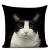 Haustier Katze Print Wurf Kissenbezug Niedliche Kurzhaar Dekorative Kissenbezug für Wohnkultur
