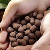 500g/pack Leca Balls Clay Pebbles For Plants, Clay Pebbles For Hydroponic Growing,