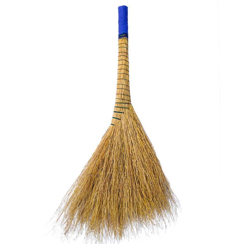 Thickened Plastic Broom