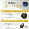 JON TORUDO Massage Chair Cover Zipper Waterproof Can Be Used As Storage Nail Sunburn Simple L 100 X Height 140 X Length 160 [Front Opening, &