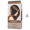 The Saem - Silk Hair Color Cream Gray Hair Cover - 5 Colors