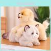 Pluizig Pomeriaans Knuffeldier Kat Poes Auto Decoratie Schattig Kittenkussen Kalmerende Pop