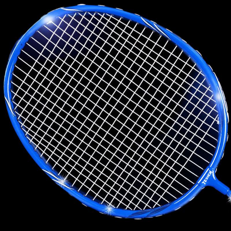 TESIEN Alloy Badminton Racket