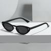New Vintage Cat Eye Sunglasses Unisex - Retro High-End Street Style Sun Glasses for Men & Women