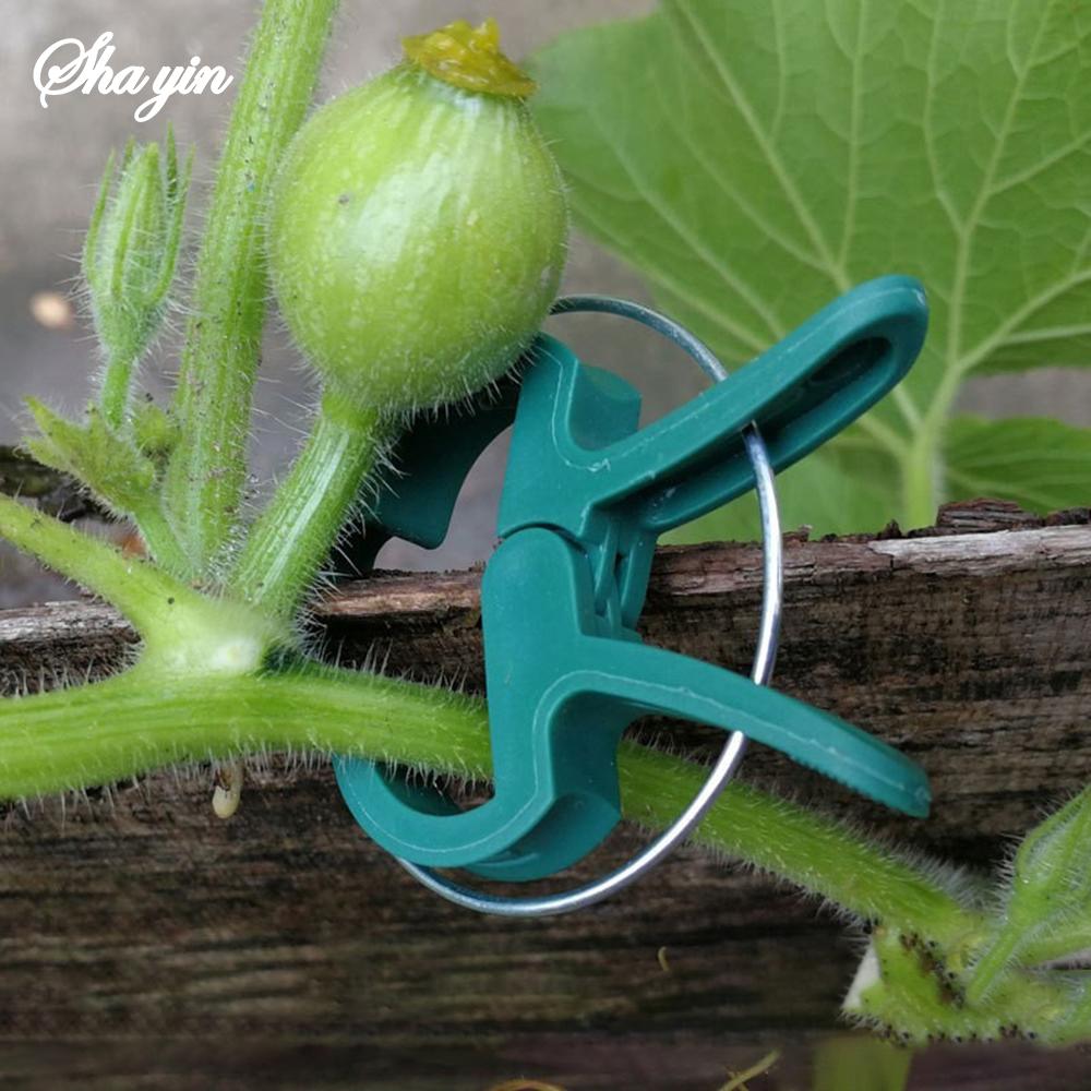 20PCS Garden Butterfly Orchid Garden Set Tomato Plants Clip Plastic Clips Gardening Tools