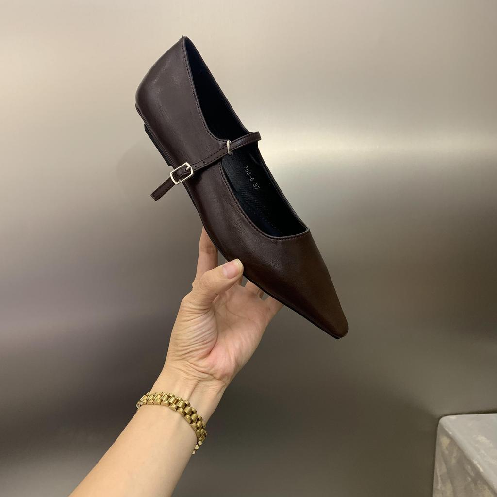 Fashion Flat Shoes for Women 2025 Spring Autumn New Mary Jane Shoes Low Heel Pointed Flat Bottomed Women's Shoes Plus Size 42 43 44