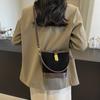 Vintage Maillard bucket bag women's 2025 new autumn women's messenger bag high-end large-capacity handbag