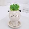 Plants Pot Decorative Anti-cracking Compact Mini Cat Shaped Flower Pots for Landscaping Decoration