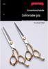 6-Inch Professional Hairdressing Scissors & Thinning Shears Set