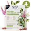 SESA 4 Step Natural Hair Colour Kit For Grey Hair Coverage Organic Ayurvedic No Ammonia PPD Peroxide 200g + 40ml DIY Use