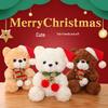 Graduation Teddy Bear Plush Toy - Doctoral Cap, Christmas Gift