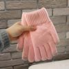 Cold Proof Knitted Gloves Thickened Plush Mittens Fashion Warm Gloves  Women Men