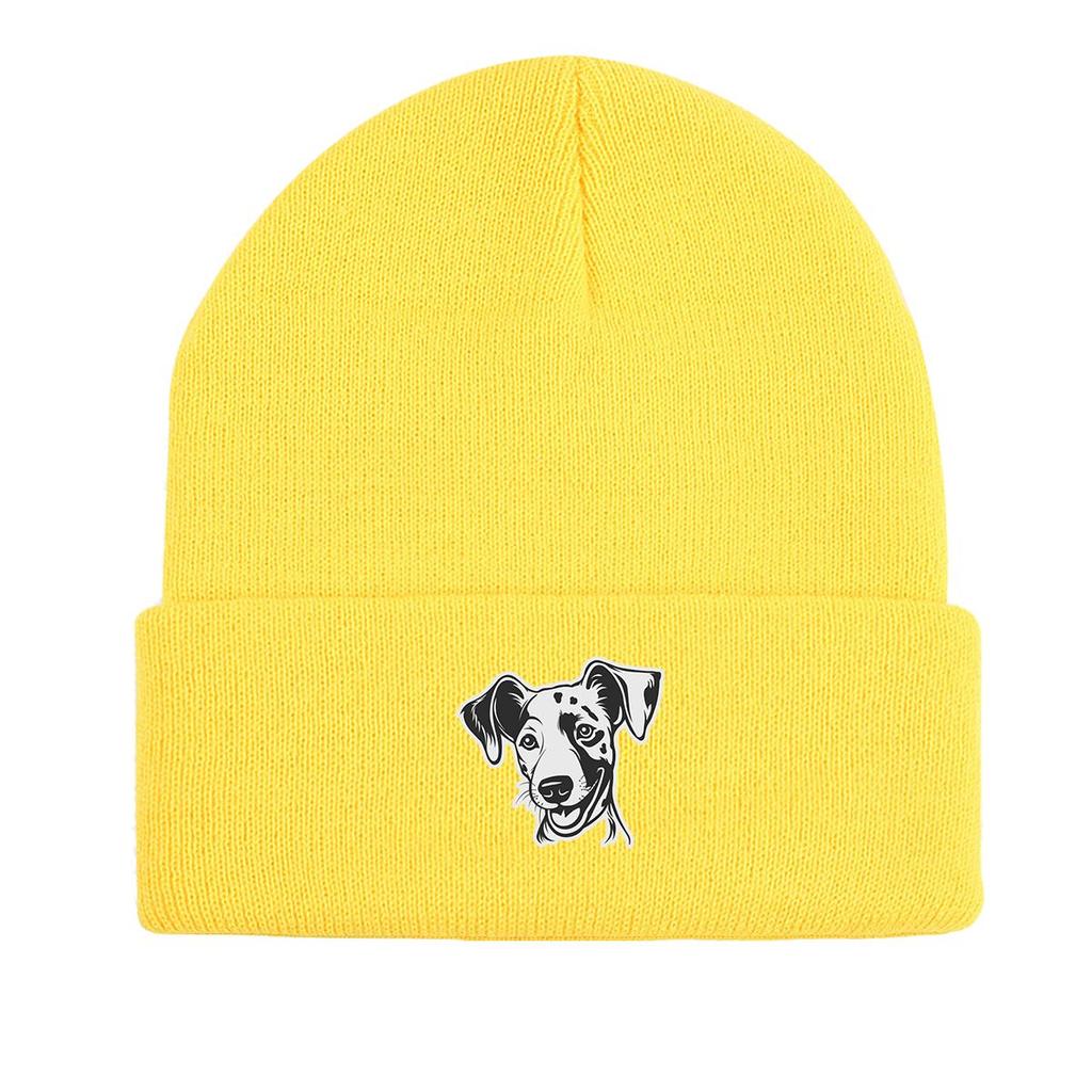 Dog Picture Print Knit Cap Beanie, Animal Woman Cap Windproof Fit Hip Hop Bobble Hat Knitted Hat Beanie