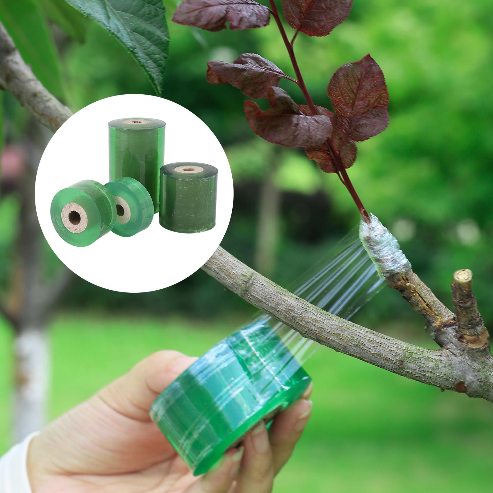 

PE Grafting Tape Film Self-adhesive Garden Tree Plant Seedling Vine Tomato Grafting Accessories Stretchable 20/30/60/100mm Width 2cm