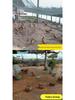 Polyethylene Fishing Net Mesh Sheet for Enclosures, Cages, and Aquaculture Ponds