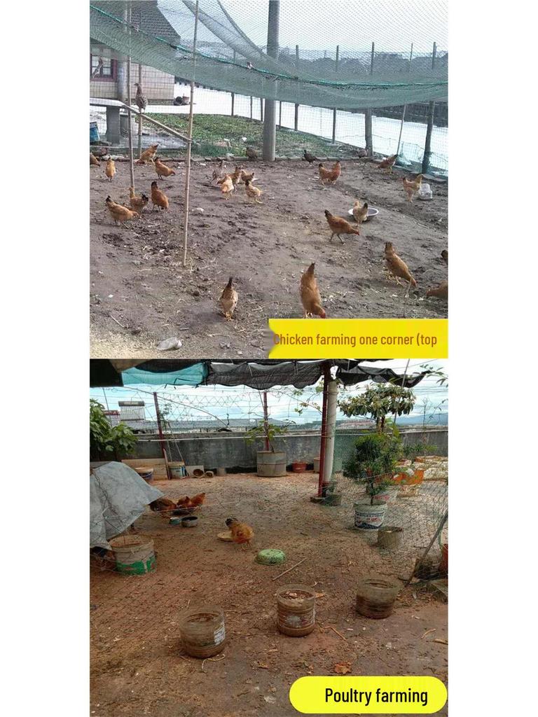 Polyethylene Fishing Net Mesh Sheet for Enclosures, Cages, and Aquaculture Ponds