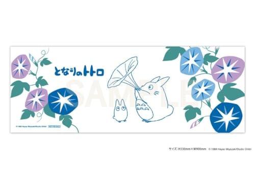Princess Mononoke DVD (Includes Original Totoro Hand Towel - Studio Ghibli Summer Campaign)