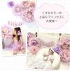 Regalo Birthday Decorations Birthday Decorations Paper Fan Birthday Decoration Set Garland Decoration Celebration Flower X (Bloom Bloom)