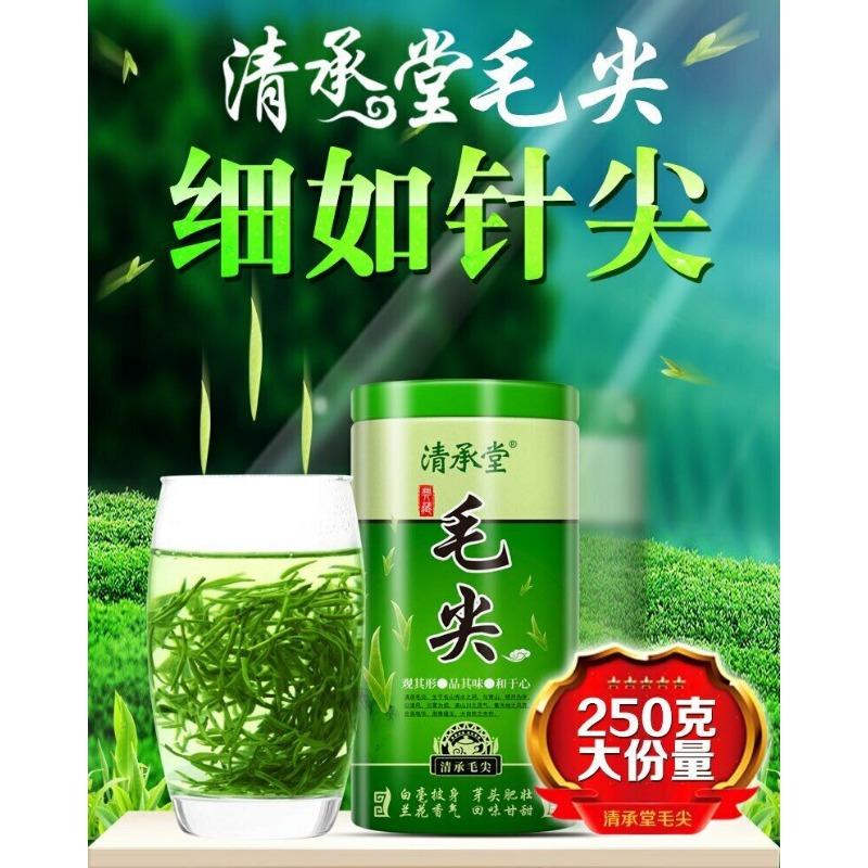 Tè Supreme Xinyang Maojian Tè verde fresco Mao Jian Tè dimagrante in latta da 250 g
