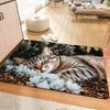 Cartoon style, cat sleeping pattern sponge carpet, dirt-resistant indoor and outdoor entrance doormat, non-slip, soft and comfortable