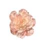 Girl Photo Flower Headdress Flower Hairpin Seaside Vacation Head Flower Art Test Accessories Live Broadcast Peony Hair Accessories