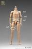Toys & Hobbies [TOYBARJAPAN] 1/6 Scale Action Figure ALERT LINE AL100045 Man's Male Body