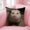 O-Opossum Cushion Cover Pillowcase Short Plush Invisible Zipper Room Sofa Cushion Cover