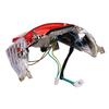 DYS Auto Shop Motorcycle Tail Light Assembly for Chinese 50cc GY6 Scooter Moped Tao Tao Sunny