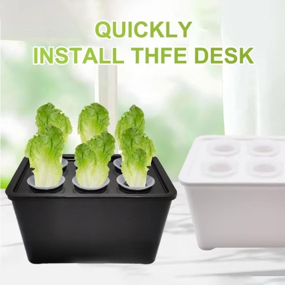 Self Watering Soil-Free Planting Box 6 Holes Nursery Pots Hydroponic Grower Kit  Outdoor Planting