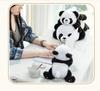 Cross-Border Panda Plush Toy: Children's Birthday Gift & Office Nap Pillow
