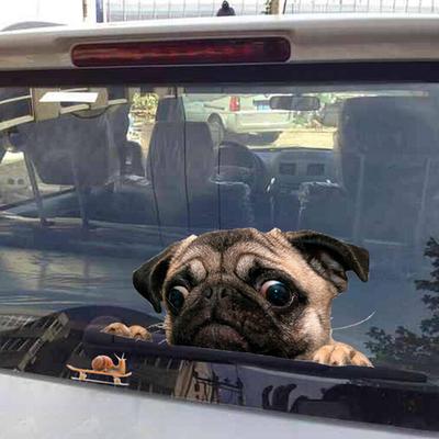 Autocollant drôle de fenêtre de voiture d'escargot de montre de chiens de carlin 3D mignon autocollant d'ordinateur portable de chiot d'animal de compagnie